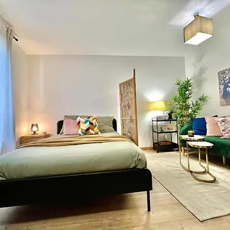公寓 Cosy Avec Parking Au Coeur De *
