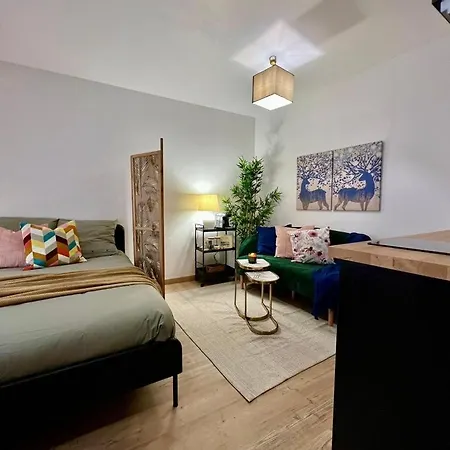 公寓 Cosy Avec Parking Au Coeur De *